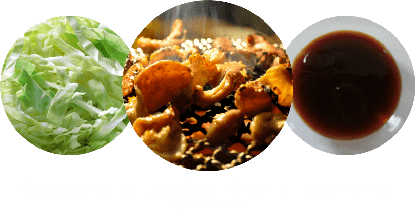 千切りキャベツ x 豚の白モツ・赤モツ（味噌にんにく味） x ウスターソース